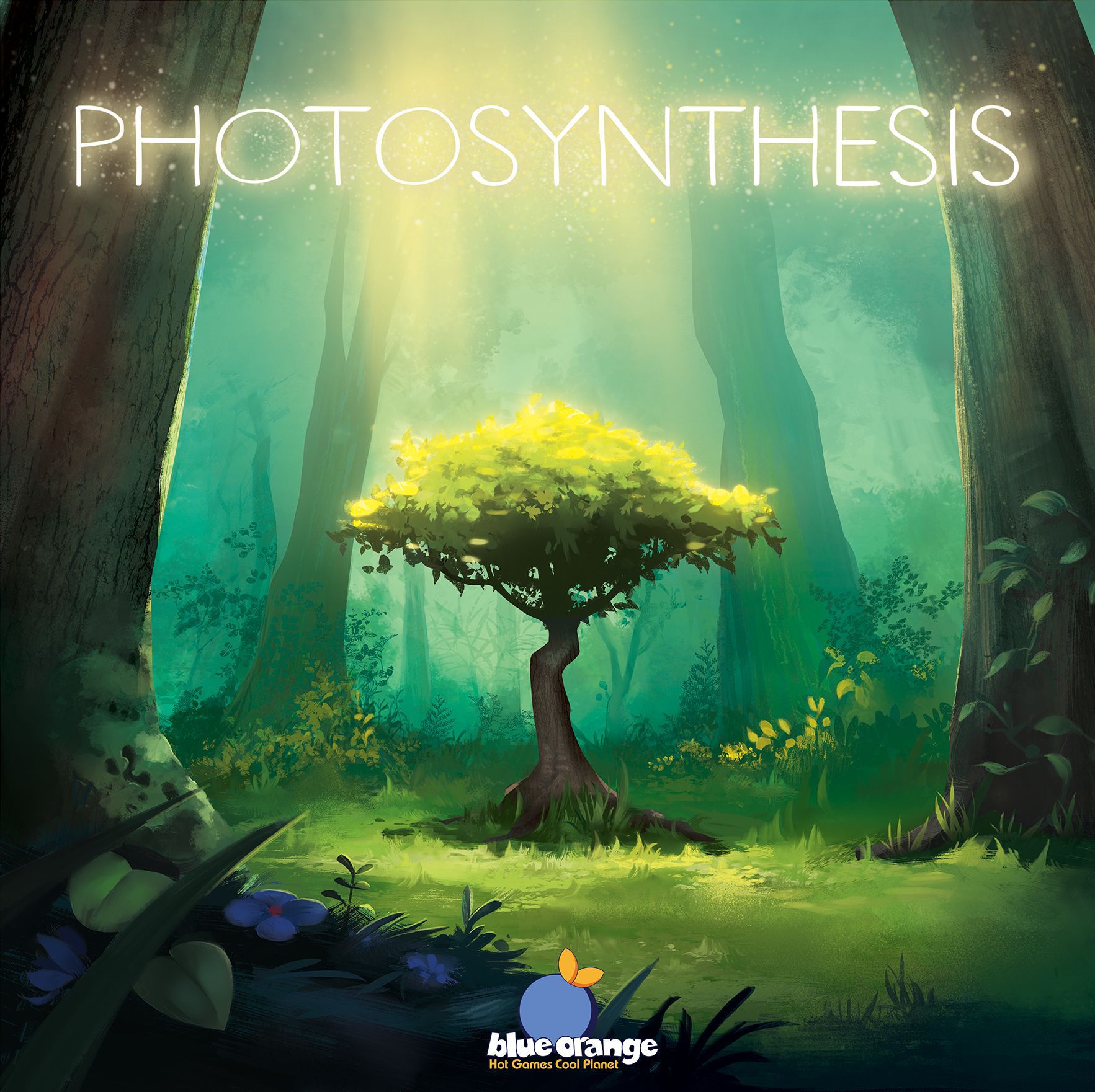 Portada de Photosynthesis